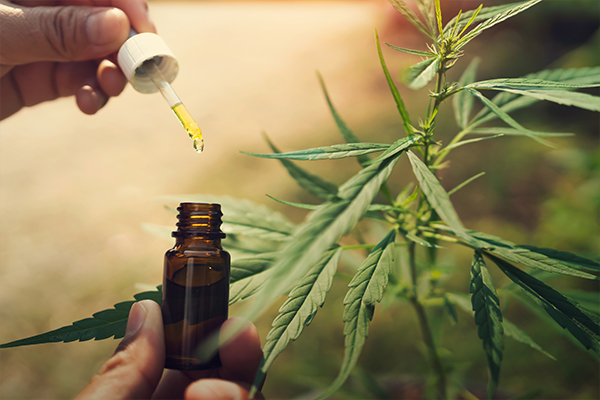 Our CBD products packaging include oils in dropper bottles, serums and lotions in bottles, applicator pads, strips of resealable vials, and jars.